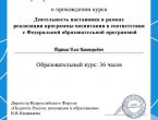 Наставничество в области патриотических проектов