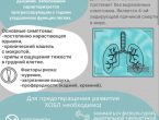Сегодня одно из важных медицинских событий – Всемирный день борьбы против хронической обструктивной болезни легких (ХОБЛ).